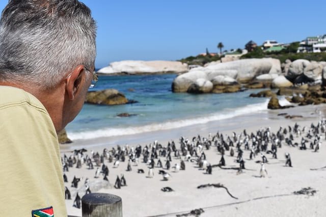 Penguin Colony at Boulders Beach with a Conservationist w/ Admission add-on - Photo 1 of 4